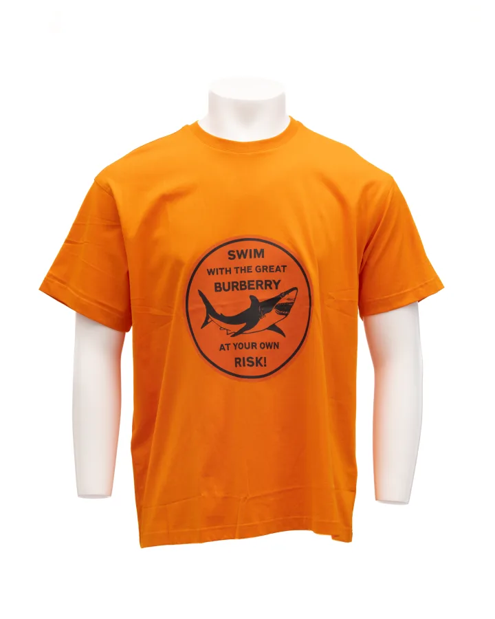 Orange Cotton T - Shirt