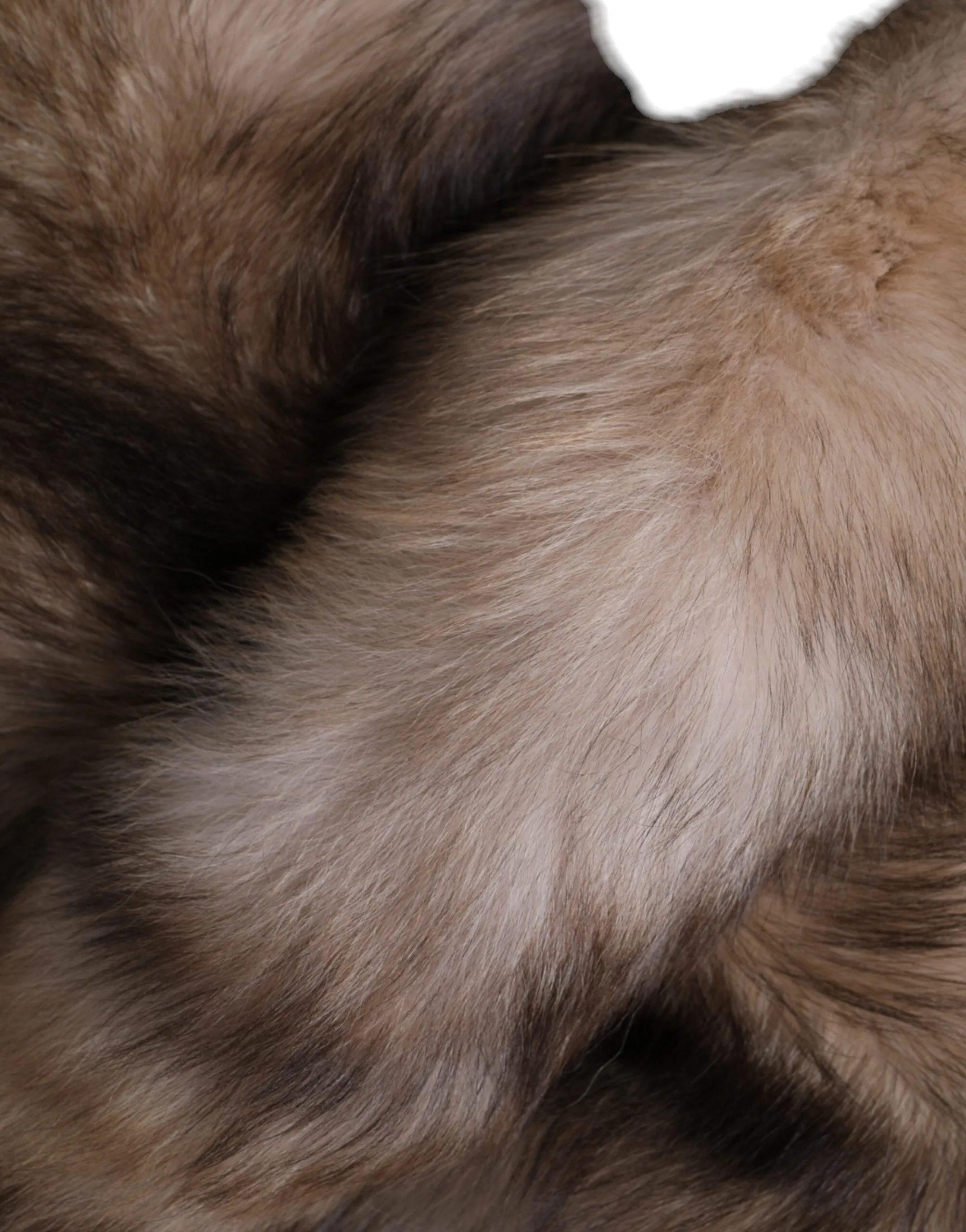 Brown Frost Fox Fur Neck Warmer Winter Scarf - Image 6